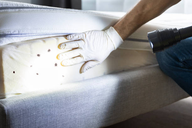 Best Bed Bug Extermination  in Ashville, OH
